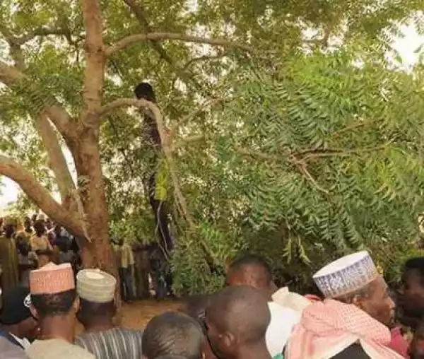 Man Commits Suicide By Hanging In Kano (Photos)